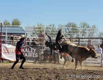 Langdon's Lazy P Rodeo receives national award - StrathmoreNow ... - StrathmoreNow.com
