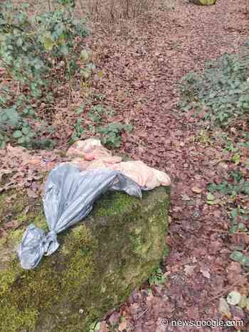 Unappetitlicher Fund beim Vogelwoog: Fell und Tiergedärme in ... - Wochenblatt-Reporter