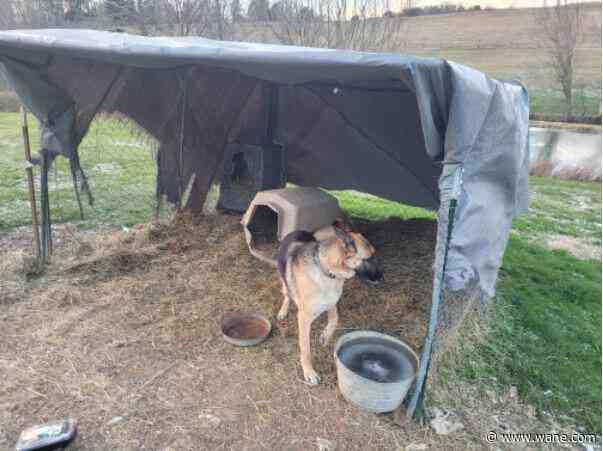 Mother, daughter accused of stealing dog after homeowners left it outside in single-digit temps