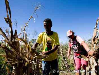 Agrarminister unterstreichen Ziel weltweiter Ernährungssicherung