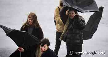 Harde wind: zondag code geel in Friesland, Groningen en Noord ... - AD