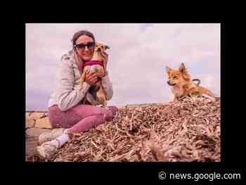 Cuneo: "Così abbiamo salvato Billy, per 5 anni attaccato a una ... - Cuneocronaca.it