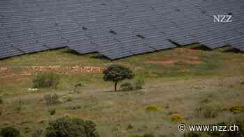 Was bewegt den Kampf ums Klima im Jahr 2023?