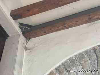 Bellunum all'opera: via le ragnatele dai portici del centro storico - News In Quota