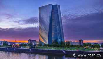 Holzmann für mehrere Zinserhöhungen um einen halben Prozentpunkt