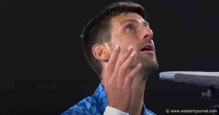Tennis Star Stops Game, Demands to Know Why Umpire Hasn't Handled Situation in the Stands