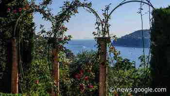 Vuoi un arco verde in giardino come quello dei film? È semplice ... - Orizzontenergia