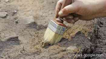 Descubren a un niño enterrado con 142 perros en El Cairo, Egipto - TRT Español