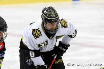 Kälble verlässt Dresden - Eislöwen am Freitag in Ravensburg ... - Eishockey Magazin