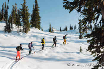 How the snowpack in Revelstoke’s backcountry is affecting business - Penticton Western News