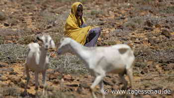 Agrarminister wollen Ernährung gerechter machen
