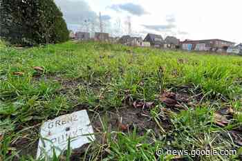Stadtverwaltung Borken hält bei der Grundsteuer Abgabefrist ein - Borkener Zeitung