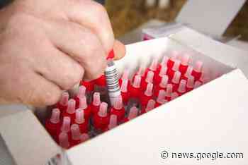 BHV1: Drei Betriebe im Kreis Borken betroffen - top agrar online