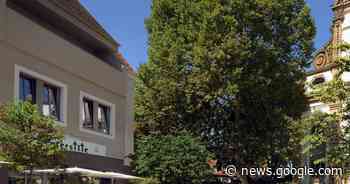 Asiatische Küche an Stelle der früheren „Petersilie“ - Speyer - Rheinpfalz.de