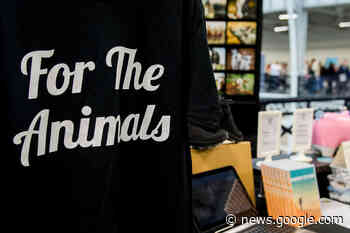 Ohne schlechte Laune beim Anziehen: Geht Mode auch vegan (und ... - Musikexpress