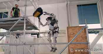 Watch a Boston Dynamics Atlas Robot Grab and Throw Like It's Nothing     - CNET