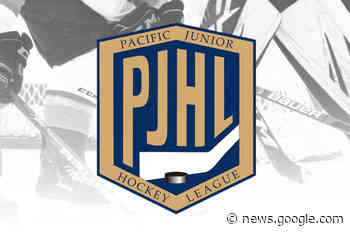 Delta Ice Hawks forfeit four games for having ineligible player on roster - Surrey Now Leader