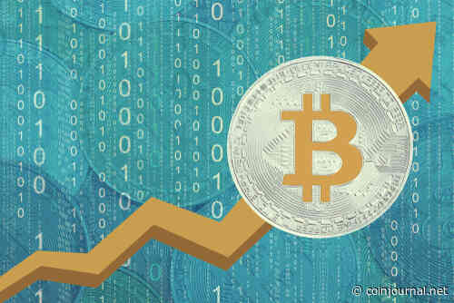 Bitcoin’s recovery will depend on a lot of macro-activities affecting the market, says Dan Ashmore