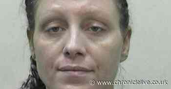 Gateshead mum told her children to leave then set fire to house after becoming 'overwhelmed'