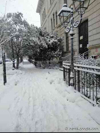 CAMPOBASSO, NUOVO APPUNTAMENTO IN BIBLIOMEDIATECA ... - Molise Web
