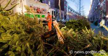 Wij halen je kerstboom op, belooft Rotterdam, maar ondertussen ... - AD