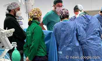 Catania, 7 ore per prendere il cuore - lasiciliaweb | Notizie di Sicilia