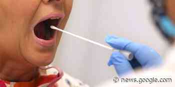 Coronavirus in Waltrop: Zahl der Infizierten sinkt weiter - Waltroper Zeitung