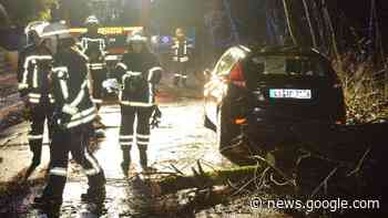 Wehr im Einsatz: Feuerwehr Glinde entfernt umgestürzten Baum von ... - shz.de