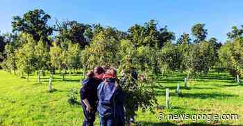 Three Dublin girls working to save the ash tree - Irish Farmers Journal