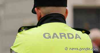 Man (20s) arrested following armed robbery in Dublin store - The Irish Times