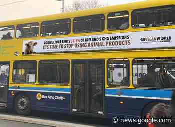 'Disgraceful' vegan ads on Dublin Bus - TD - Irish Farmers Journal
