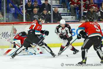VIDEO: Kelowna Rockets down struggling Vancouver Giants