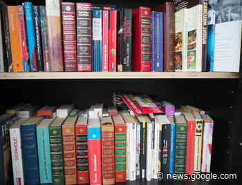 Neues Medienangebot in der Stadtbibliothek Lehrte - Sehnde-News