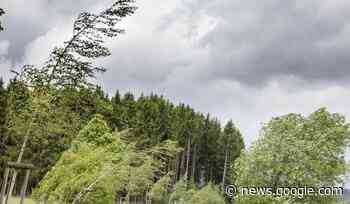 Meteo: tornano le raffiche di vento nel fine settimana - LeggiNoci.it