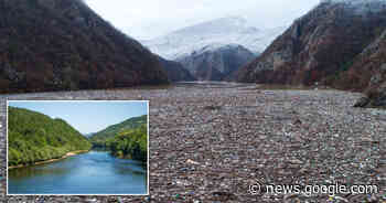 One of Europe's most beautiful rivers clogged by huge floating ... - msnNOW