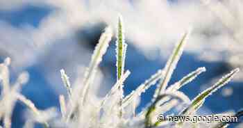 Wetter in Krefeld, Düsseldorf und Kempen: Frost und Glätte möglich - Westdeutsche Zeitung