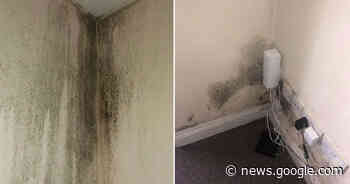 Mother claims three children struggling to breathe in mould-covered ... - msnNOW