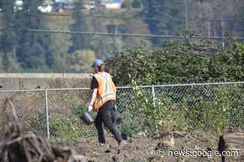 Fall planting begins at Kus-kus-sum site in Courtenay - Comox ... - Comox Valley Record