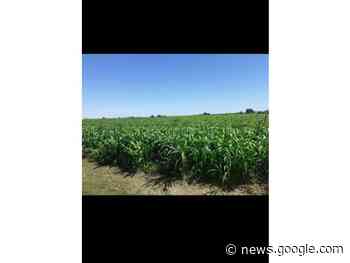 60 HAS Zona El Palenque - clasificados.elonce.com