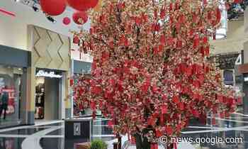 Vaughan Mills mall celebrates Lunar New Year with interactive ... - yorkregion.com