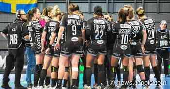 Brest Bretagne Handball. Quel avenir sur le long terme en Ligue des ... - Le Télégramme