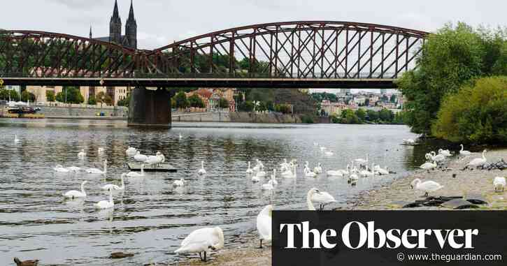 ‘Like knocking down the Eiffel tower’: battle to save historic Prague bridge