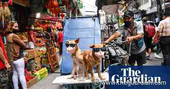 Lunar new year and ‘Toadzilla’: Friday’s best photos