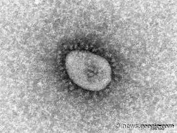 Japan Urged to Remain Vigilant Against New Coronavirus Variants - The Japan News