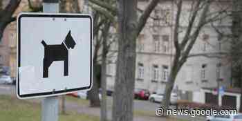 Leinen los! Feucht schaut sich Nürnberger Hundezonen ab - NN.de