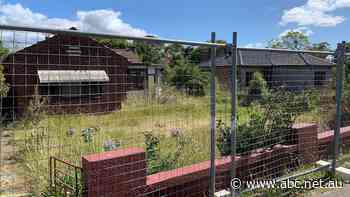 Could 'meanwhile use' help with the NSW housing crisis?