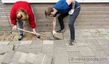 Hersenen op gemeentehuis kraken voor 2023-editie NK Tegelwippen - De Stadskoerier