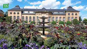 Gotha als Gartenschau-Partner für Erfurt denkbar - Thüringer Allgemeine