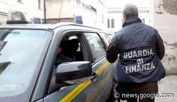 Gragnano, sequestrata piantagione di marijuana. Arrestato 24enne ... - Metropolisweb