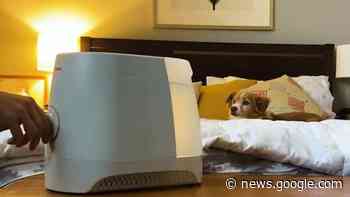 Can't sleep? Here's what might help according to consumer experts - WKMG News 6 & ClickOrlando